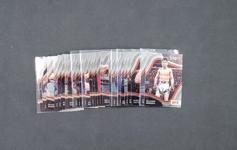 2022 Panini Select UFC Octagon Side Base #201-300 Build Set Pick Your Card - Image 1 of 1