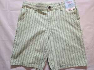 Boys' Chambray At the Knee Chino Shorts Cat & Jack Green Size 12 - Picture 1 of 4