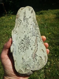 Pounamu Greenstone Nephrite Jade Dendritic Kokopu lapidary VERY RARE Natural - Picture 1 of 18