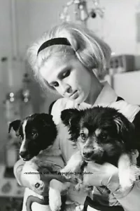 Soviet Space Dogs PHOTO 22 Day Earth Orbit Veterok and Ugolyok Russian Dogs - Picture 1 of 2