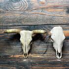 Pair Long Horn Skull Cow Mount Cabin Western Yard Decor Head Art Bull Halloween