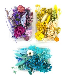 Getrocknete Blumen / Gepresste Blüten DIY Basteln Trockenblumen Harz Epoxidharz