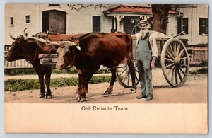 Postal Antiguo Equipo Confiable Viejo y Bueyes Con Carro - Imagen 1 de 3