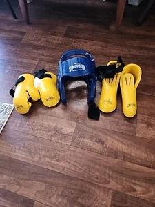 Tiger Claw LARGE Kickboxing Set MMA Kickboxing Muay Thai Sparmaster - Picture 1 of 6