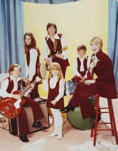 The Partridge Family POSTER 24 X 18 Inches NICE! - Picture 1 of 2