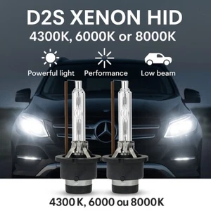 2 Bombillas Xenón D2S Renault Megane Clio Espace Scenic Modus Vel Satis Clio - Bild 1 von 2