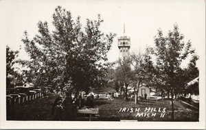 RPPC Irish Hills Michigan View of Tower and Park Area c. 1930s - Picture 1 of 2