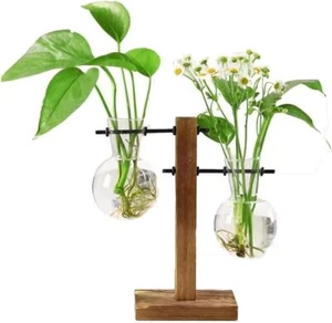 Plant Propagation Station Desktop Bulb Glass Vase With Wooden Stand Hydroponics - Picture 1 of 11