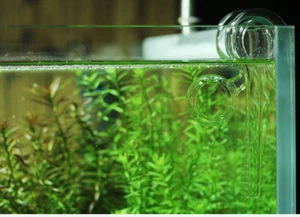 Aquarium plant tank mini nano glass inflow outflow pipe for 9/12mm water hose - Picture 1 of 6