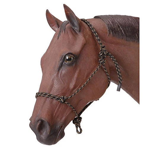 Soporte de cuerda de polietileno Tough1 Foto 1 de 1