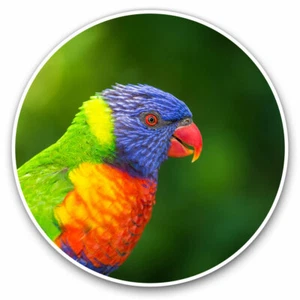 2 x Vinyl Stickers 20cm - Rainbow Lorikeet Tropical Parrot Bird Cool Gift #16201 - Afbeelding 1 van 9