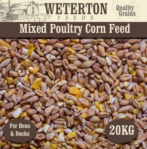 20Kg Best Mixed Poultry Corn for Hens and Ducks GM FREE MAIZE FREE DELIVERY - Picture 1 of 3