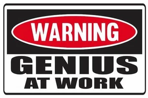 2 (PIEZAS) Divertida ADVERTENCIA GENIO EN EL TRABAJO Calcomanías de vinilo Pegatinas A prueba de clima - Imagen 1 de 2