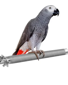 Bird Perch - Stainless Steel - Rough Surface Stand for Small to Medium Parrot... - Picture 1 of 7