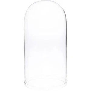 Plymor 5.5" x 11" Glass Display Dome Cloche (Clear Glass Tray Base) - Picture 1 of 1