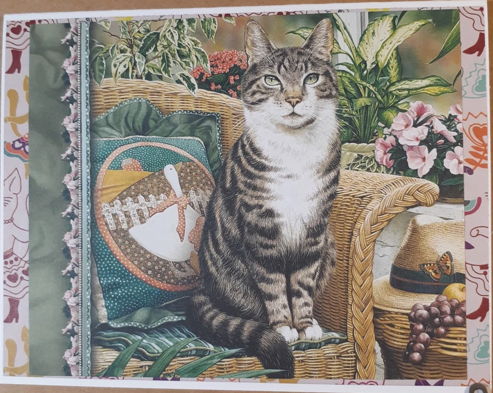 Tarjeta divertida gato cualquier ocasión #ED631 Foto 1 de 1