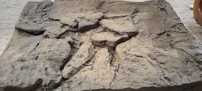 RC Rock Crawler Display/course 1:24 1:18 - Image 1 of 4