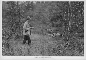 A. B. FROST WOODCOCK HUNTING, SPORTSMAN AND DOGS, HUNT - Picture 1 of 1