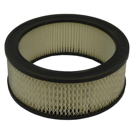 Filtro de aire Ecogard XA3181 Foto 1 de 4