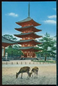 View of Deer Grazing in Front of Tower of Kofukuji Temple Japan Vintage Postcard - Picture 1 of 1