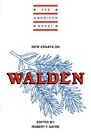 New Essays on Walden (The American Novel). Sayre 9780521424820 Free Shipping<|