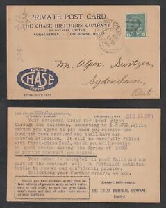 Colborne Ontario Chase Brothers Company Nurserymen Private Postcard Circa 1907