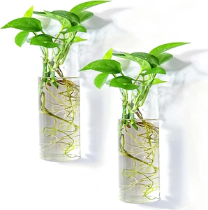 2 Pack Wall Hanging Planters Glass Terrariums - Cylindrical Plants Holders Ai... - Picture 1 of 1