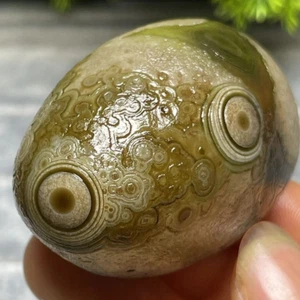 Natural Mongolia Gobi Agate Eyes Agate Stone Collection Specimen - Imagen 1 de 4