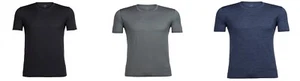 ICEBREAKER Herren Shirt Tech Lite S/S Crewe Funktionsshirt Merinowolle geruchsne - Picture 1 of 9