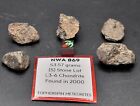 NWA 869 (53.57g) Meteorite Lot (5) Individual Stones L3-6 Chondrite IMCA Sellers