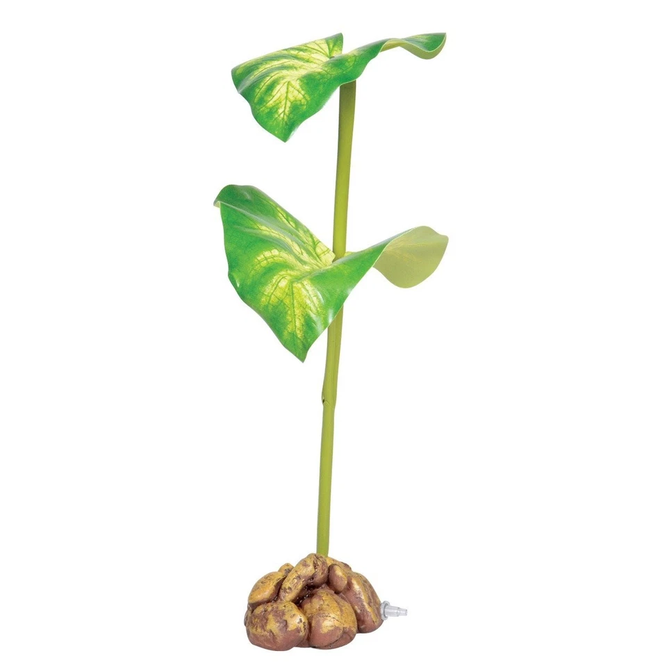 Exo Terra Small Green Dripper Plant for Reptiles Ideal for Chameleons - Image 1 of 1