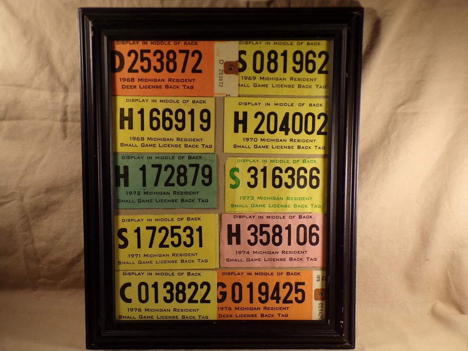 Lote de etiquetas de licencia de caza de ciervos de juego pequeño residente de Michigan vintage años 60 70 decoración Foto 1 de 4