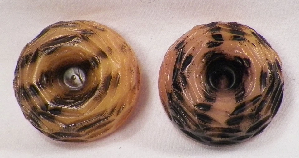 2 botones de plástico a rayas de tigre dorado tostado y negro era retro años 50 grueso CLARO Foto 1 de 1