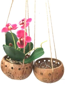 Pair Coconut Shell Hanging Pot Orchid Basket Flower Planter Balcony Bird Decor - Picture 1 of 12
