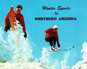 Northern Arizona Winter Sports Skiing Trail AZ Snow Mountain Vintage Postcard - Picture 1 of 4