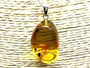Ciondolo AMBRA 5 insetti regalo inclusione fossile ambra baltica argento 925 4,1 g 16552 - Foto 1 di 12