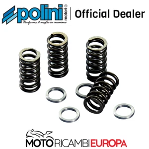 Muelles Embrague POLINI Reforzado Para Sherco Factory Silver Sm-Rs / Sm-R 50 - Imagen 1 de 6