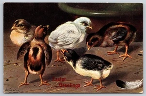 Realistic Illustration of Five Group of Baby Chicks Easter Greetings Postcard - Picture 1 of 2