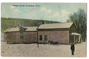 STIFF Man HORSE SLEIGH Winter Scene LINDLEY New York NY Postcard DB 1915 - Picture 1 of 2
