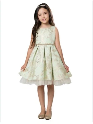 Vestido Dulce Niño Niñas, Pascua, Niña Florista, Talla 12, Verde Menta y Dorado Foto 1 de 4