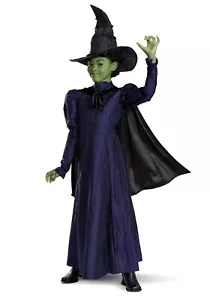 Wicked Elphaba Deluxe Child Costume Dress Cape & Hat - 4-6X Small #9296 - Picture 1 of 12