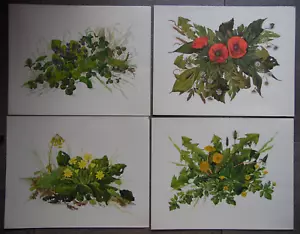 Victoria Burroughs English Hedgerow Wild Flowers LE Set Cuatro Impresiones para enmarcar - Imagen 1 de 7