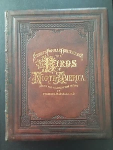 The Birds of North America 1881 Studer’s Popular Ornithology - Picture 1 of 21