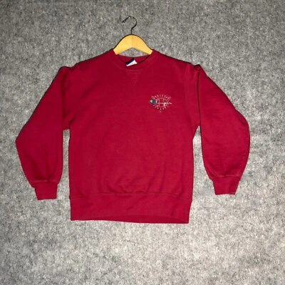 Sudadera Champion Mujer Med Vintage Años 90 Roja Bordada Logo Único Foto 1 de 4