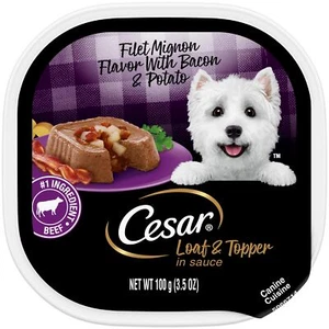 Cesar Wet Dog Food Filet Mignon Flavor with Bacon 24 Count 3.5 oz Trays - Picture 1 of 11