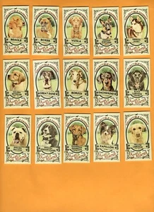 2019 Allen & Ginter Mini Collectible Canines Complete Set of 25 - Picture 1 of 4
