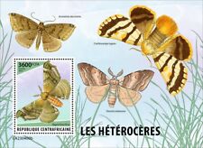 Moths Insects MNH Stamps 2023 Central African S/S
