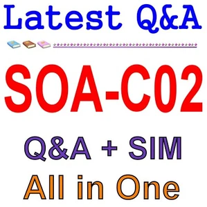 AWS Certified SysOps Administrator – Associate SOA-C02 Exam Q&A+SIM - Picture 1 of 1