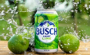 Busch Light LIME Cerveza Logo Brillante 4x6 Foto Nevera Imán Caja de Herramientas Imán 🍺 - Imagen 1 de 1
