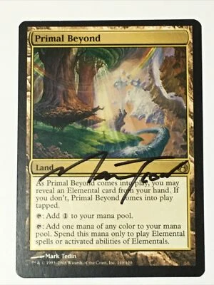 1x Primal Beyond (Signed)(LP) - Morningtide - MTG - Image 1 of 3